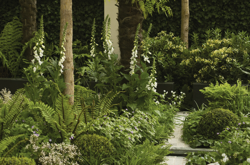 Designing a garden in shade