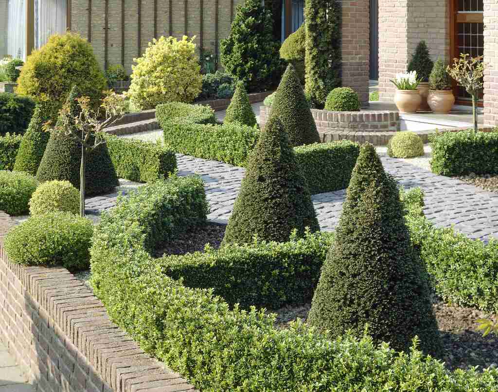 Topiary garden