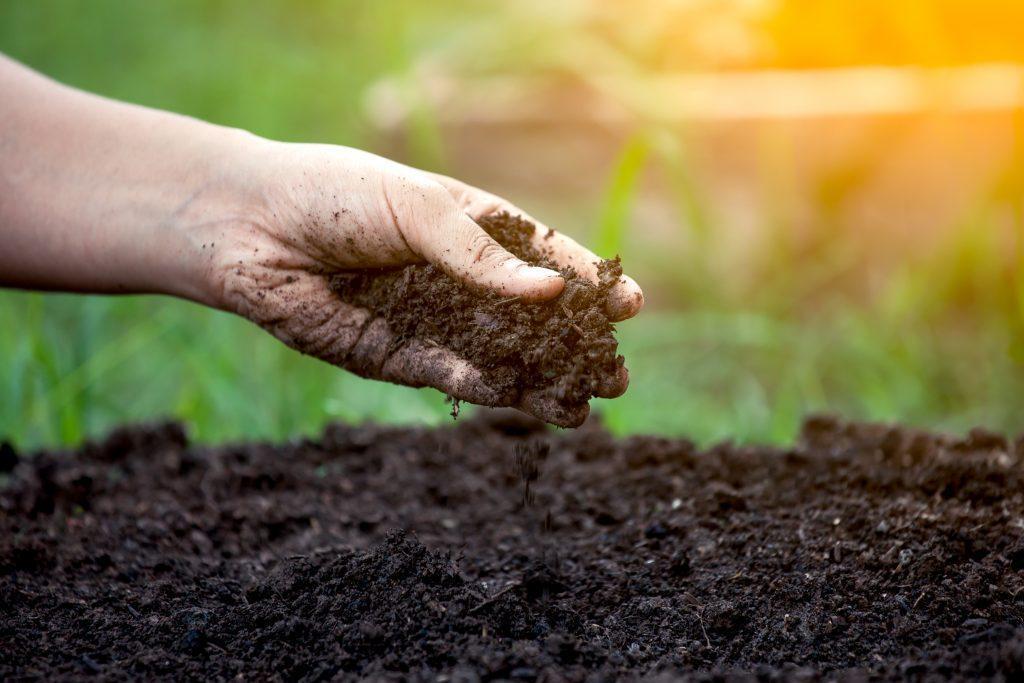 Compost: How to choose the right type