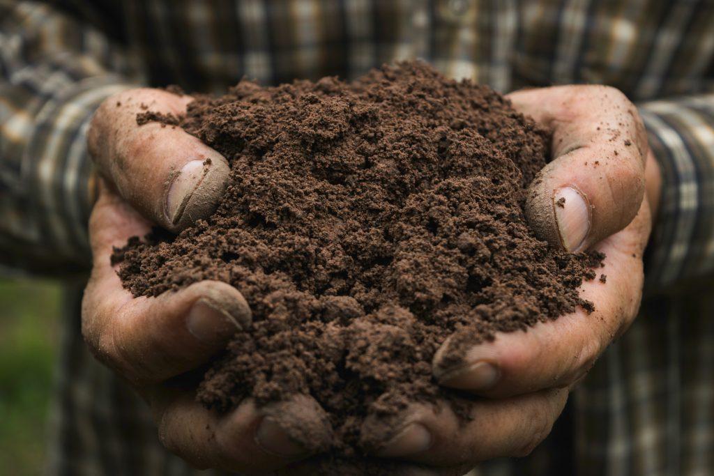 Closeup hand of person holding soil for agriculture or planting peach - Soil Types: A Beginners Guide