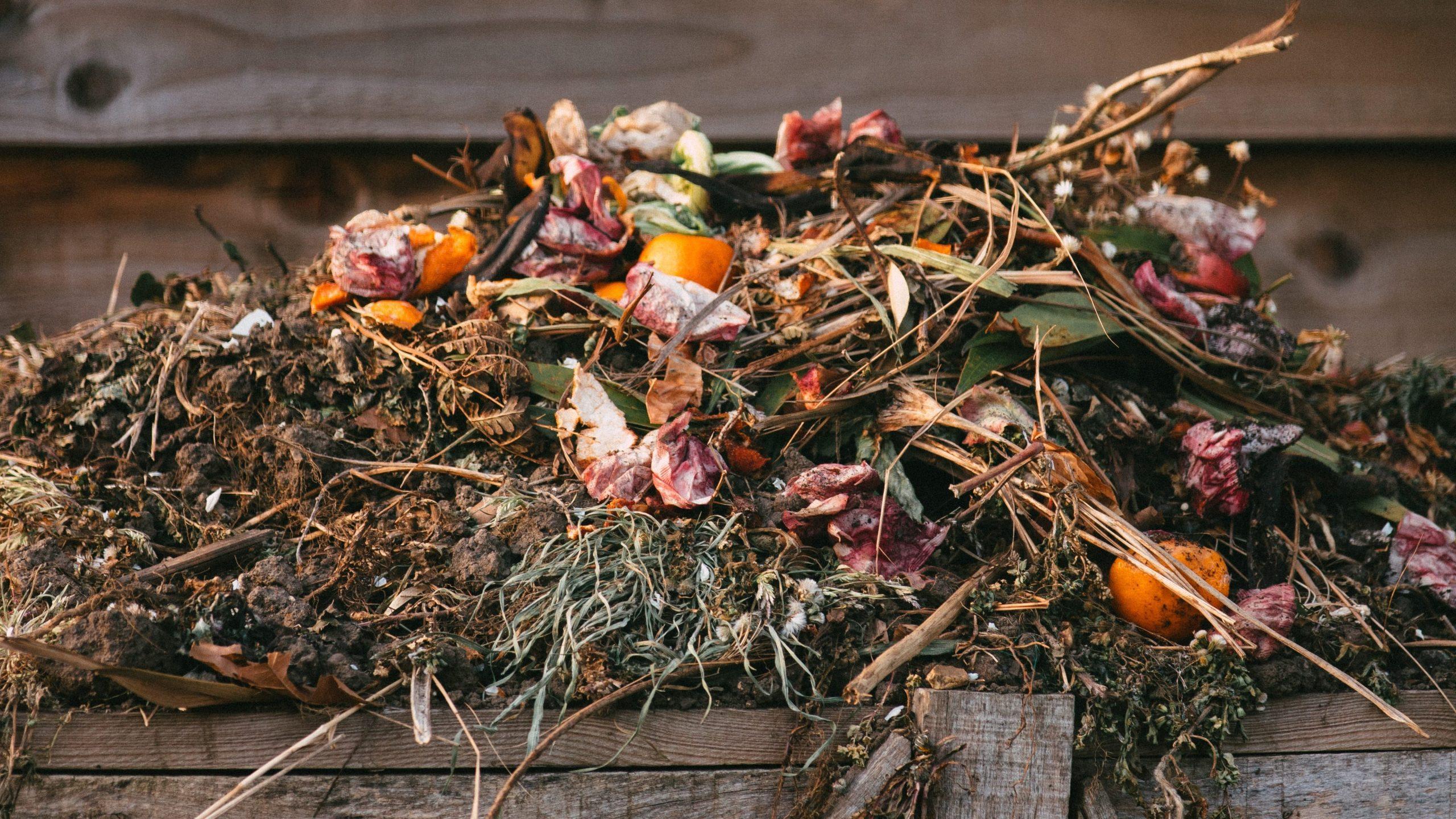 Homemade Composing
Photo by Edward Howell on Unsplash