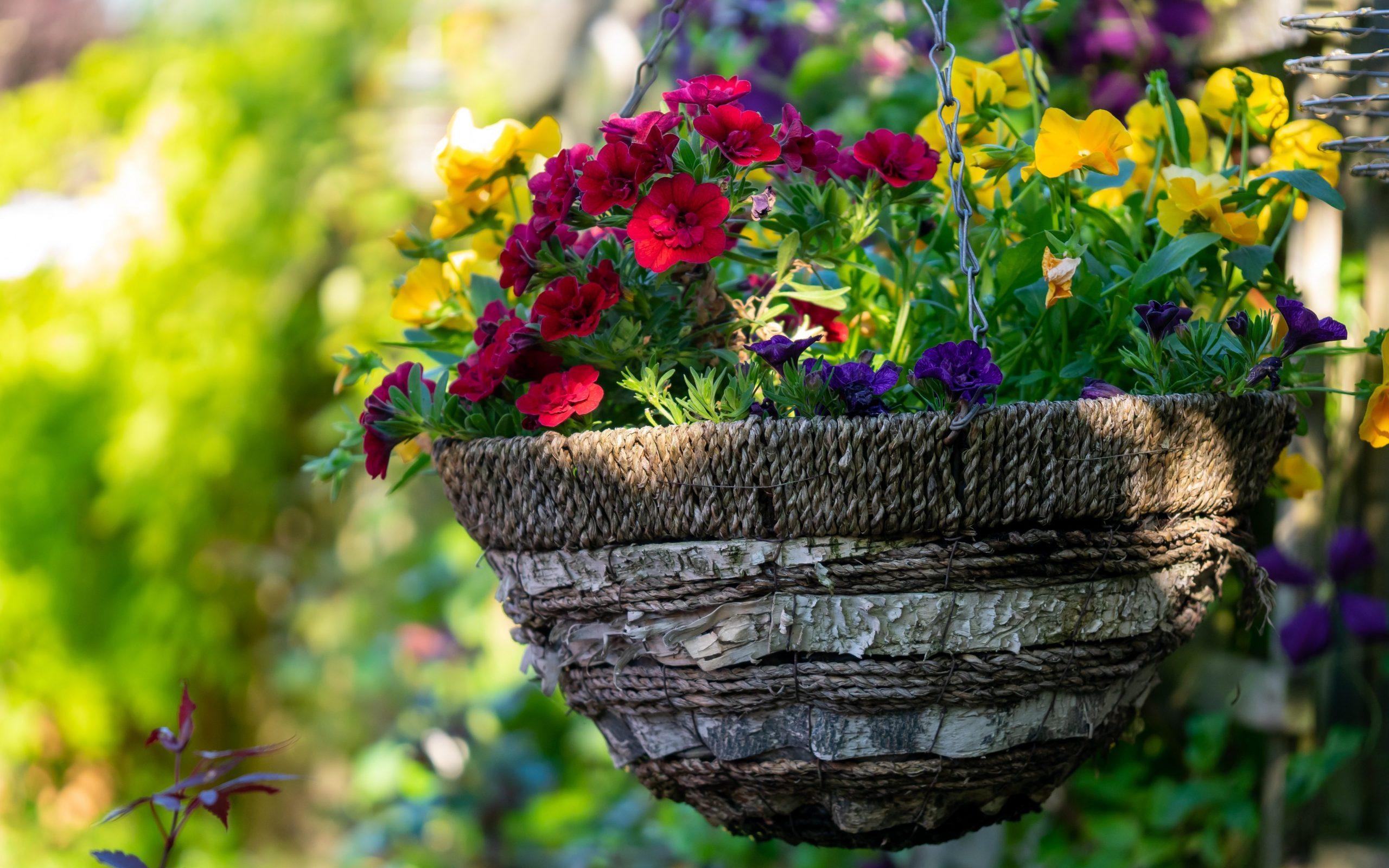 Photo by Geraldine Dukes