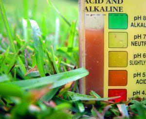 Garden soil test kit