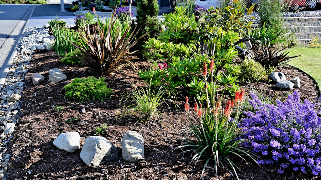 Choosing plants for your garden