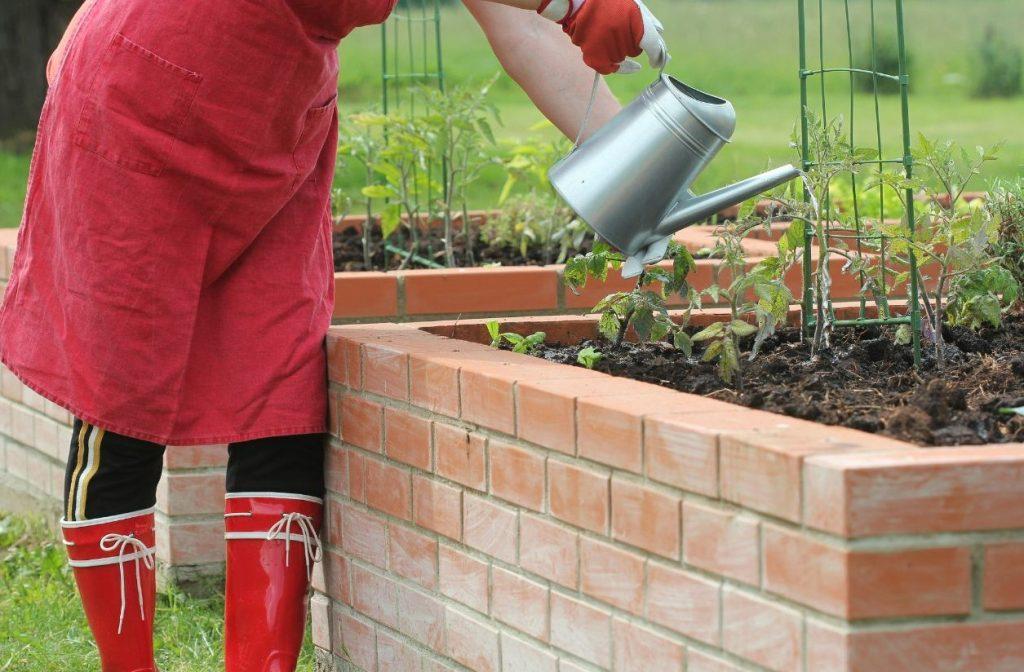Brick raised bed