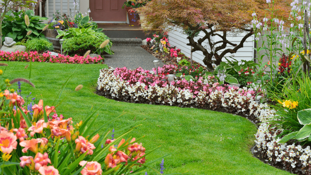 Mixture of colours and textures to create a harmonious garden design