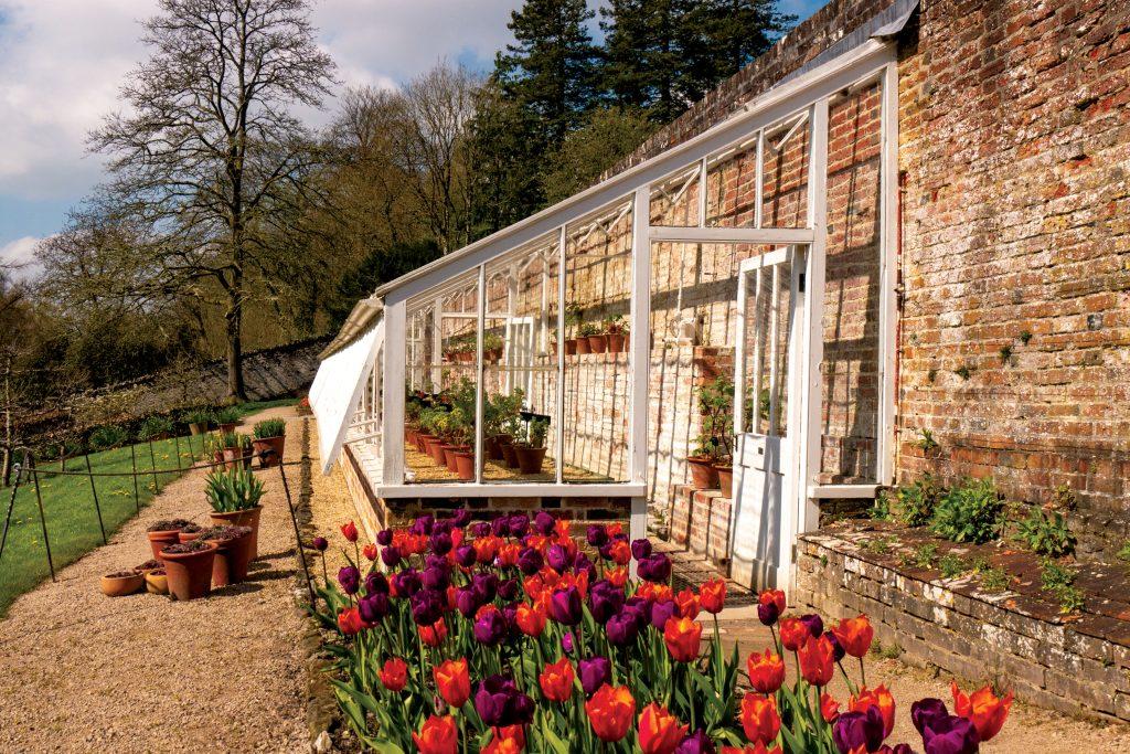Lean to greenhouse type