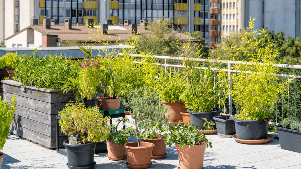 Mixture of different types of urban gardens, including rooftop, container and raised bed gardening.