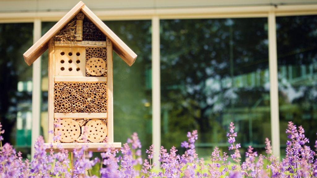 An insect hotel above a collection of purple flowers.