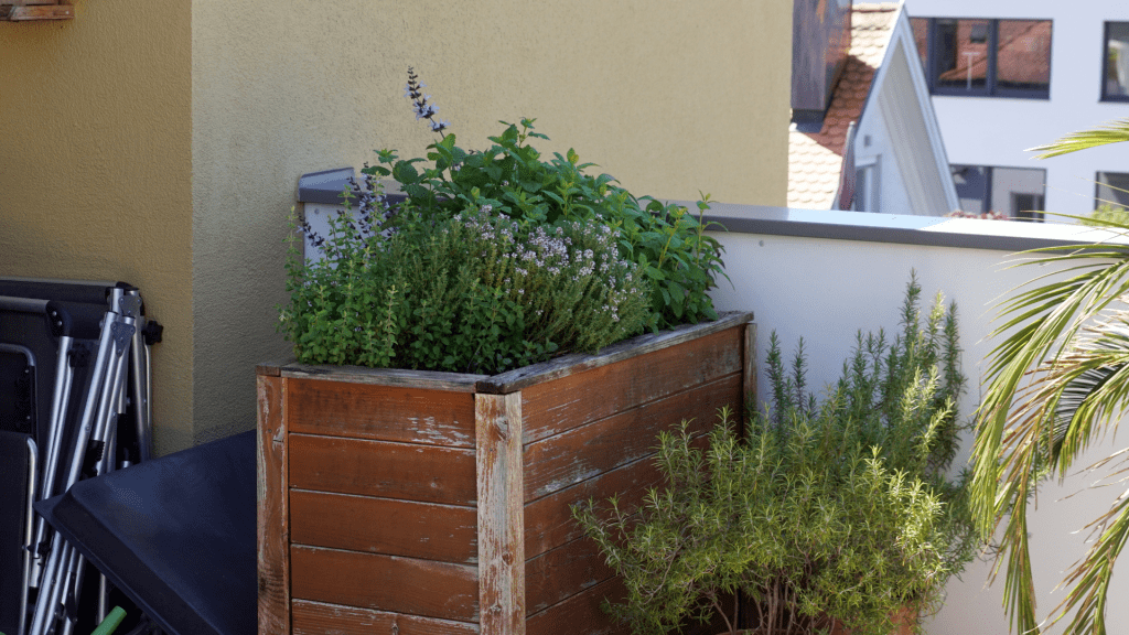 Embrace the limitations