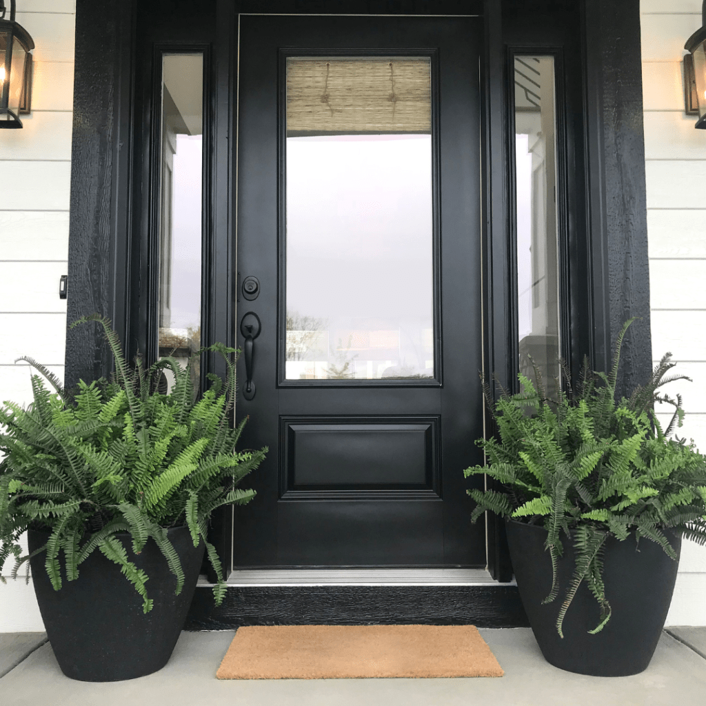 Ferns make perfect front door plants